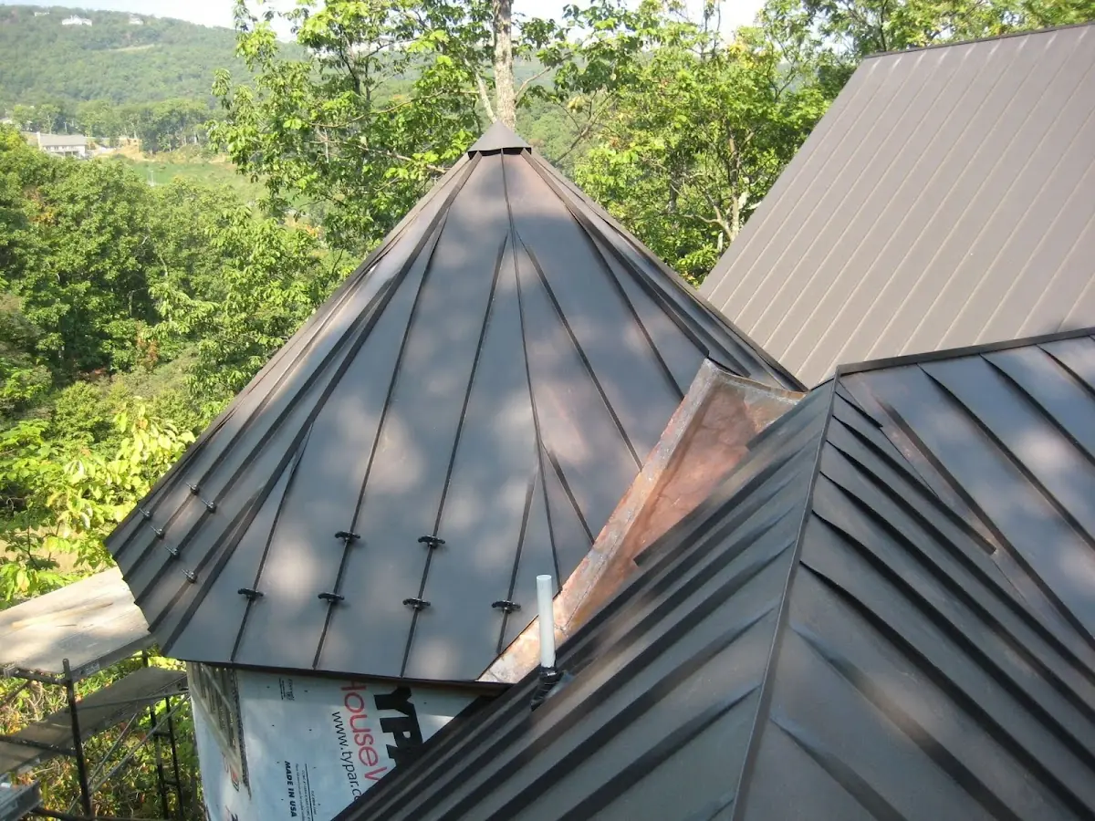 Professional Gutter Cleaning by Craftsman Roofing in Statesboro